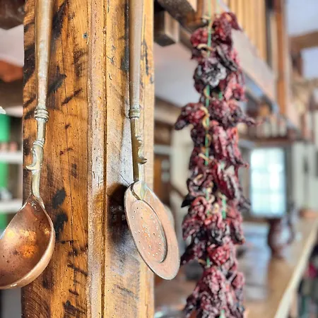 Aparthotel Perunov Belgrado